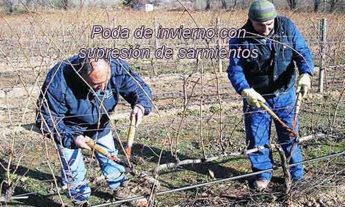 Enominer