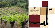 Bodega Jiménez Landi