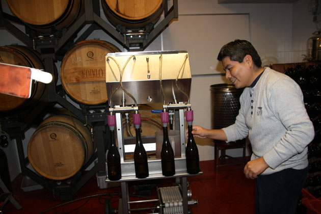 Filtrado y embotellado vinos blanco. tinto y rosado
