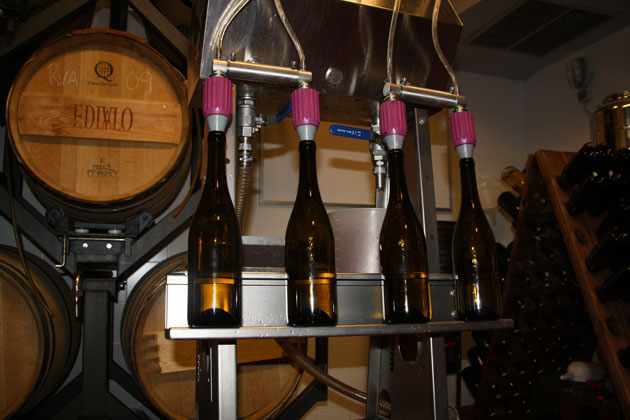 Filtrado y embotellado vinos blanco. tinto y rosado