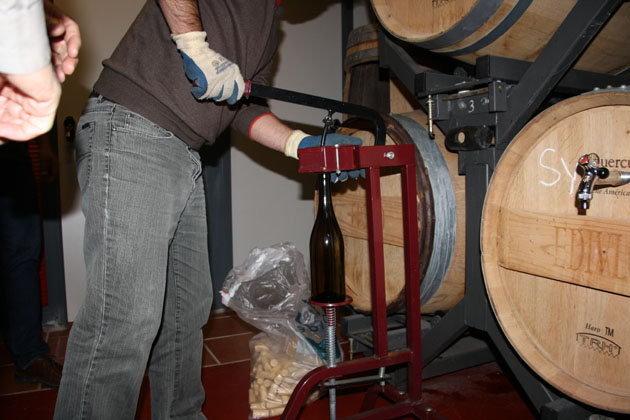 Filtrado y embotellado vinos blanco. tinto y rosado