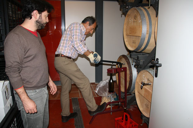 Filtrado y embotellado vinos blanco. tinto y rosado