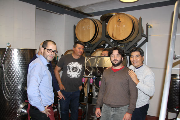 Filtrado y embotellado vinos blanco. tinto y rosado