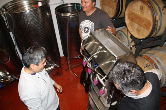 Filtrado y embotellado vinos blanco. tinto y rosado