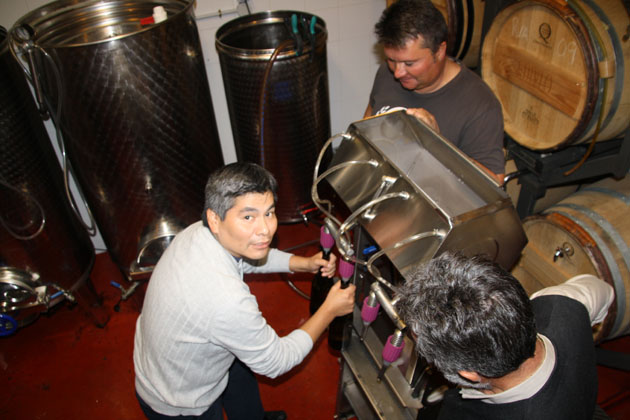 Filtrado y embotellado vinos blanco. tinto y rosado