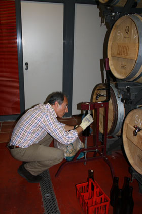 Filtrado y embotellado vinos blanco. tinto y rosado