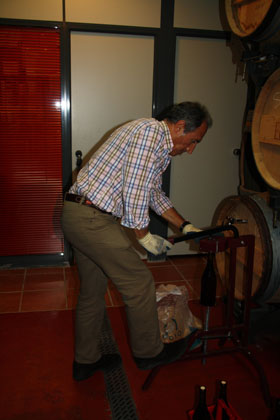 Filtrado y embotellado vinos blanco. tinto y rosado