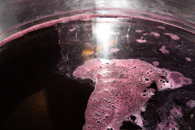Filtrado y embotellado vinos blanco. tinto y rosado