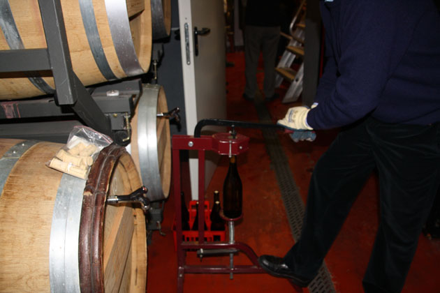 Filtrado y embotellado vinos blanco. tinto y rosado