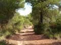 Rambla los Rincones. Caudete. Albacete