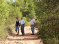 Rambla los Rincones. Caudete. Albacete