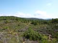 Rambla los Rincones. Caudete. Albacete