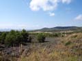 Rambla los Rincones. Caudete. Albacete