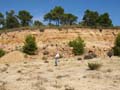 Rambla los Rincones. Caudete. Albacete