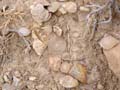 La Discordancia de Villafranqueza. Alicante