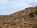 La Discordancia de Villafranqueza. Alicante