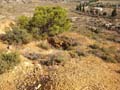 Minas de Ocre. EL Sabinar. San Vicente del Raspeig. Alicante