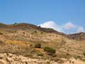 Minas de Ocre. EL Sabinar. San Vicente del Raspeig. Alicante