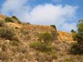 Minas de Ocre. EL Sabinar. San Vicente del Raspeig. Alicante