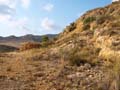 Minas de Ocre. EL Sabinar. San Vicente del Raspeig. Alicante