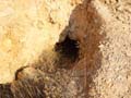 Minas de Ocre. EL Sabinar. San Vicente del Raspeig. Alicante