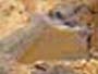 Cañada de Verich. Teruel