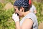 Vendimiando la garnacha por tierras abulenses