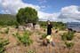 Vendimiando la garnacha por tierras abulenses