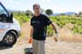 Vendimiando la garnacha por tierras abulenses