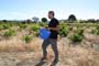 Vendimiando la garnacha por tierras abulenses