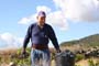 Vendimiando la garnacha por tierras abulenses