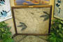 XXXIII edición de Expominerales (8 , 9 y 10 de marzo de 2013).