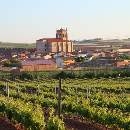 Rutas enoturismo: MADRID