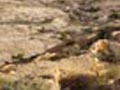 Alicantina Minera del Ocre. Serra Pelada. Muchamiel. Alicante