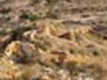 Alicantina Minera del Ocre. Serra Pelada. Muchamiel. Alicante