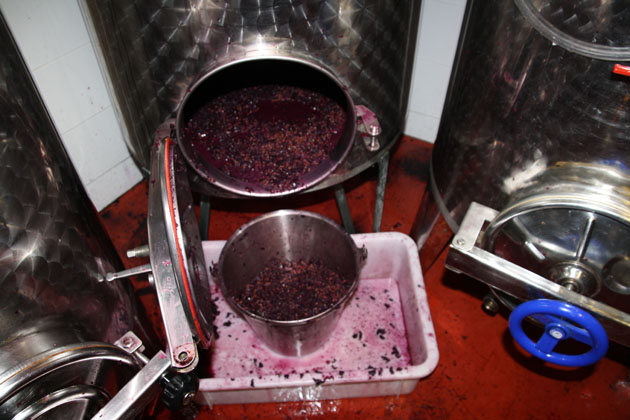 Descube del vino tinto
