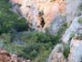 Enominer Mina horcolana. Busot. Alicante