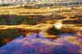 Minas de Riotinto. Huelva 