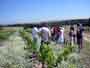 Enominer, Bodegas Jimenez Landi