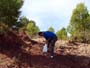 La Pesquera, Enguídanos. Cuenca