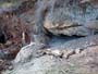 La Pesquera, Enguídanos. Cuenca