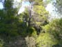 La Pesquera, Enguídanos. Cuenca