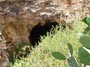 Enominer. Catera de ofitas de Orihuela